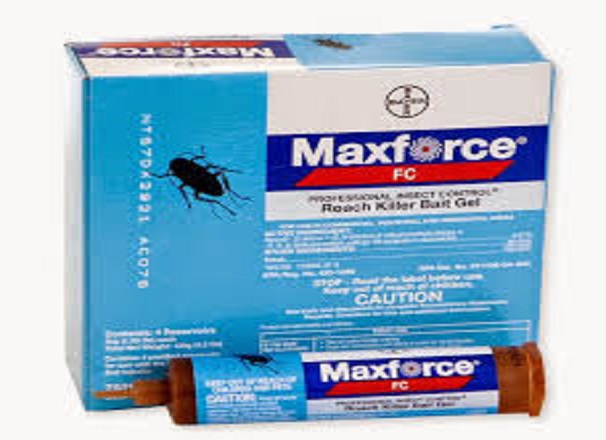 Thuốc diệt gián Maxforce